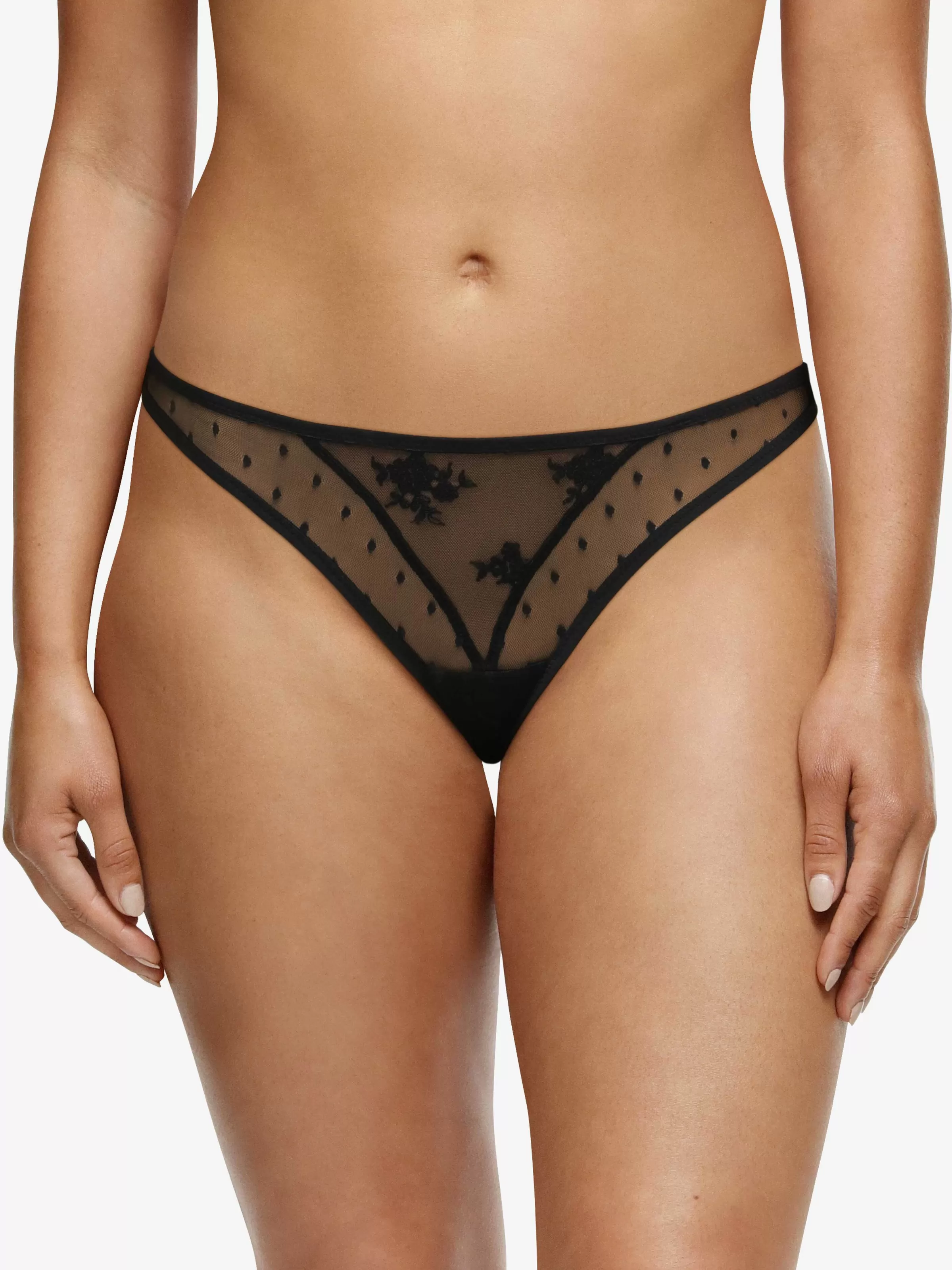 Darjeeling Blanche - Tanga< Tangas