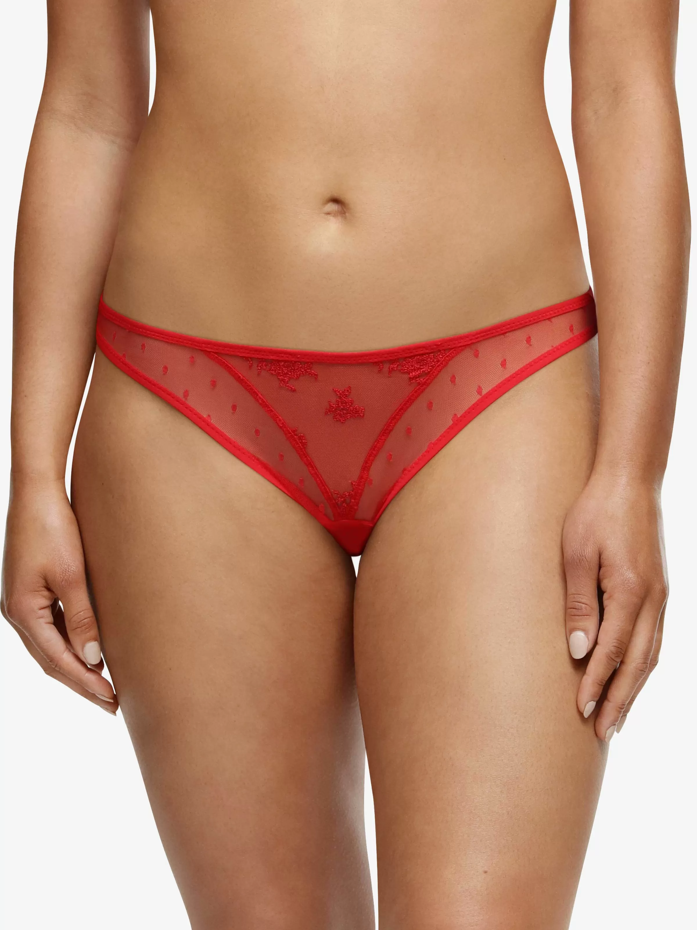 Darjeeling Blanche - Tanga< Tangas