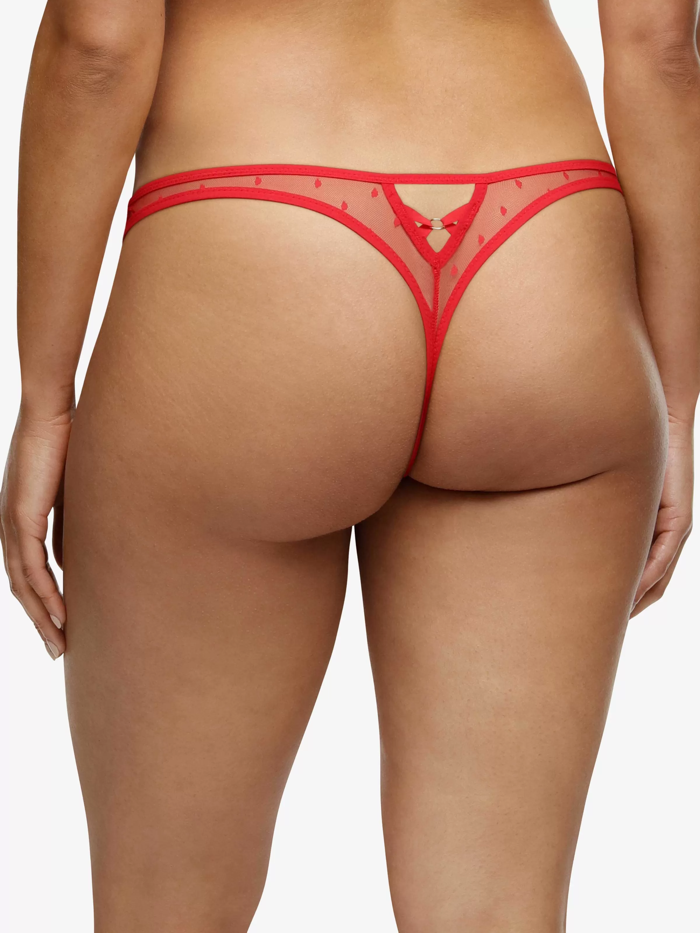 Darjeeling Blanche - Tanga< Tangas