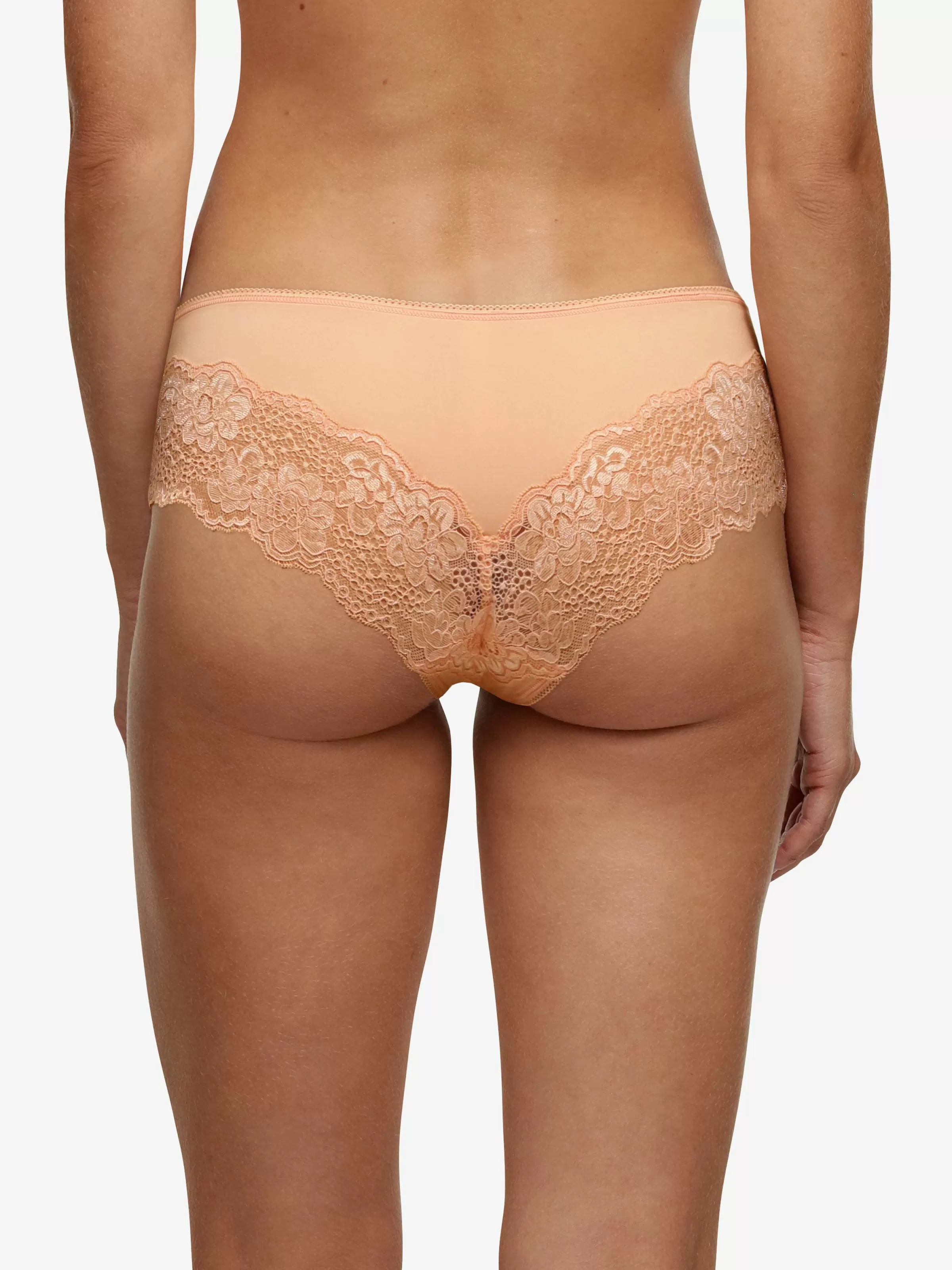 Darjeeling Bulle - Slip< Culottes - Slips