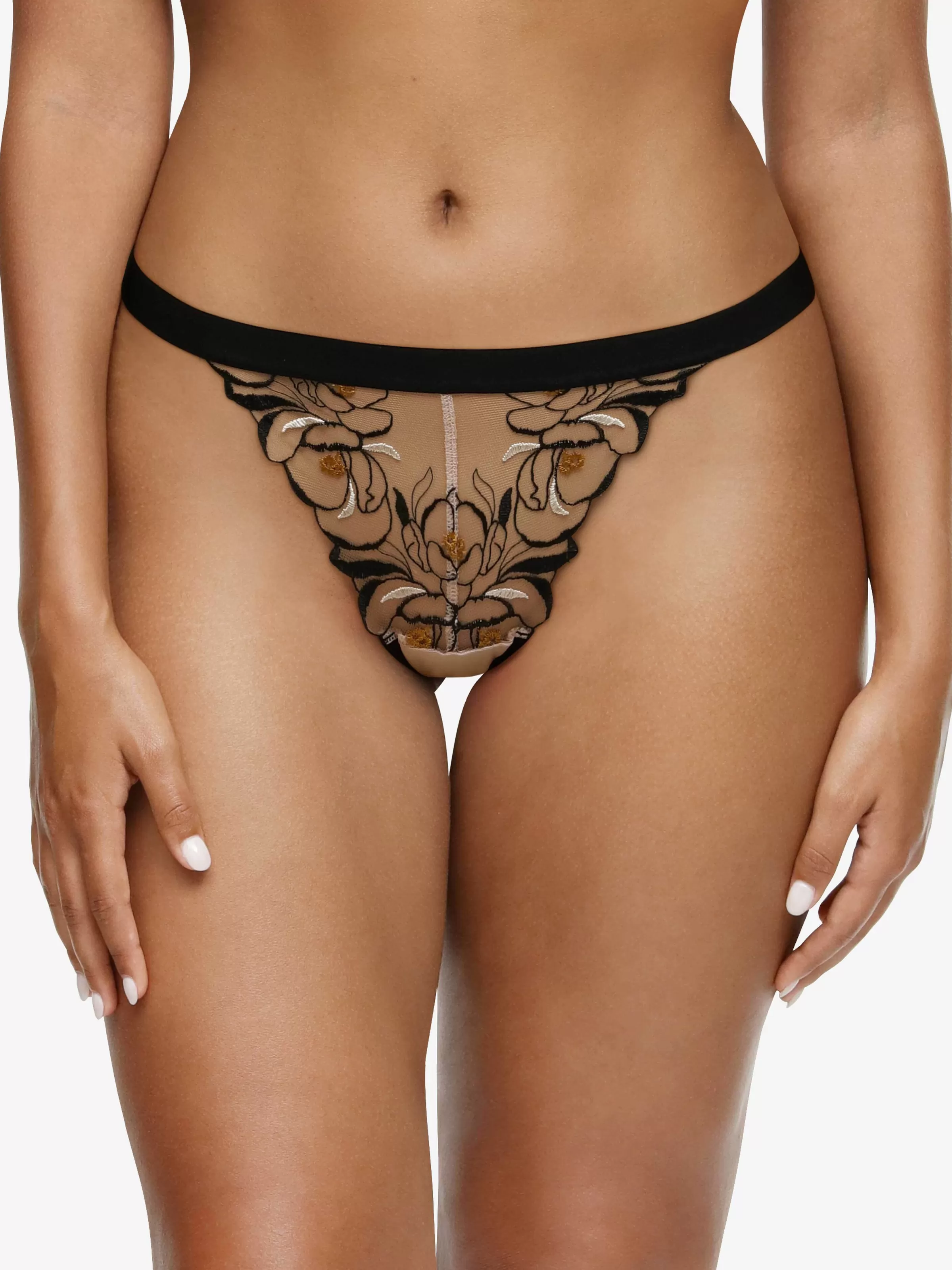 Darjeeling Donna - Tanga< Strings