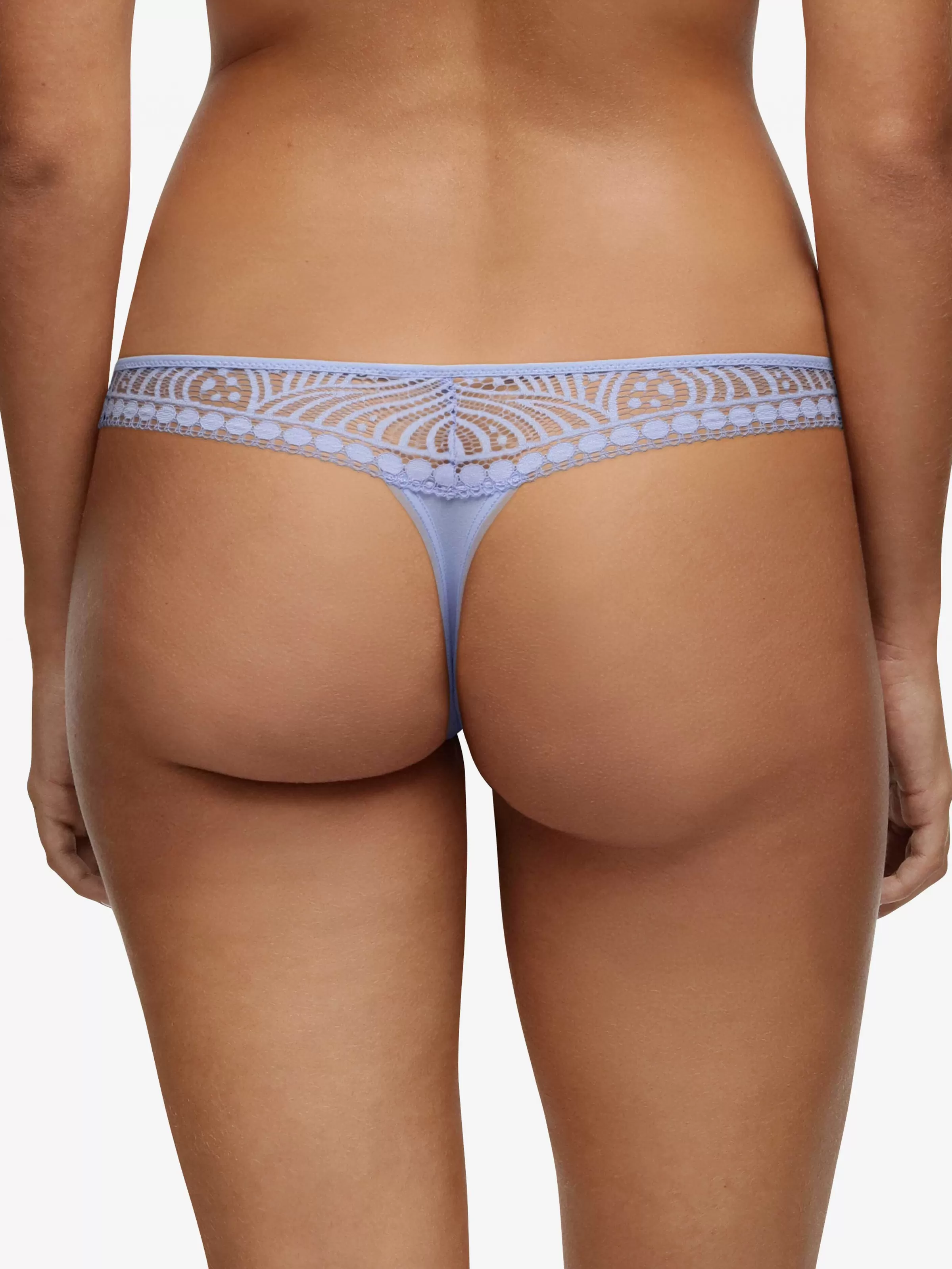 Darjeeling Saskia - String< Strings